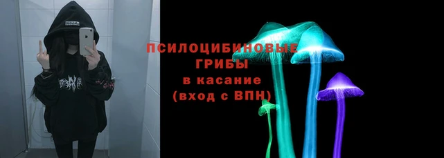 ECSTASY Арсеньев