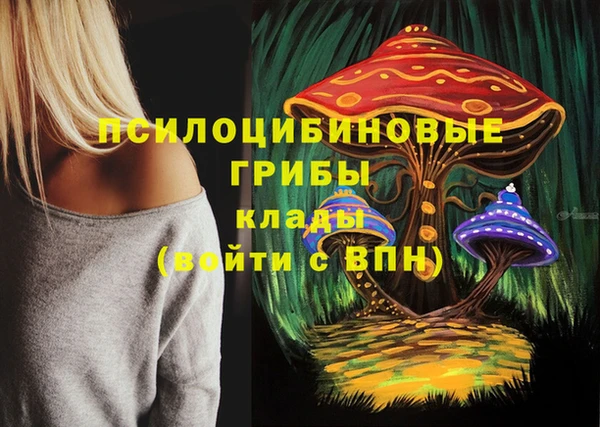 ECSTASY Арсеньев